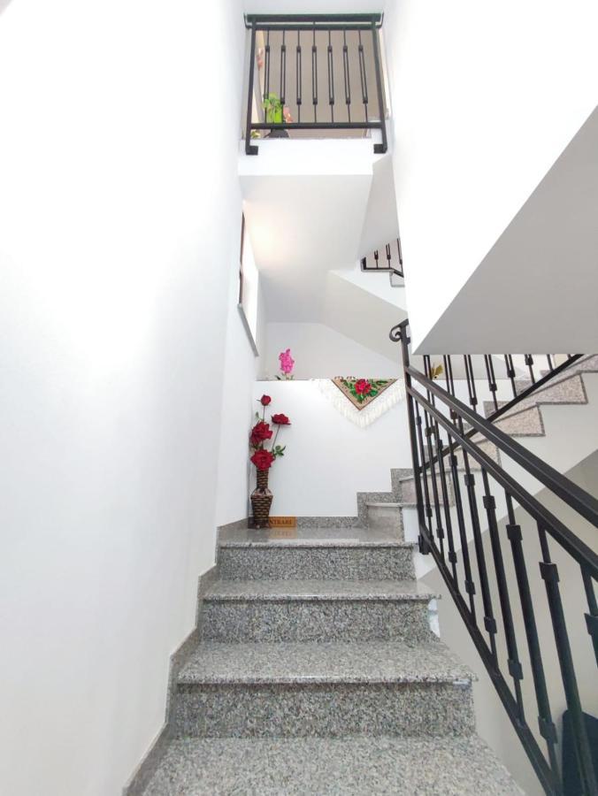 Vila Casa Hatere مويزي المظهر الخارجي الصورة